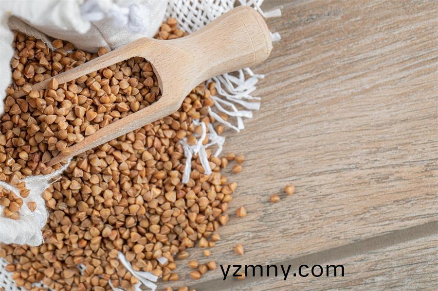 葫蘆(lu)巴堿(jian)